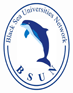BSUN